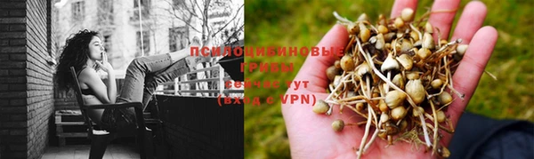 apvp Яранск