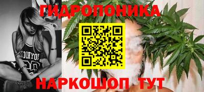 марки lsd Гатчина