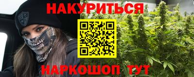 ALPHA PVP Гай