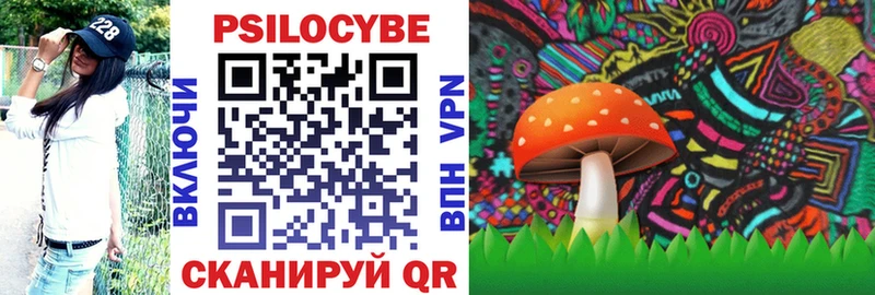 Галлюциногенные грибы Psilocybine cubensis  закладки  Азнакаево 