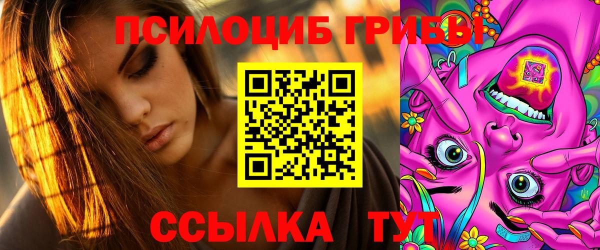 Галлюциногенные грибы Psilocybine cubensis Азнакаево