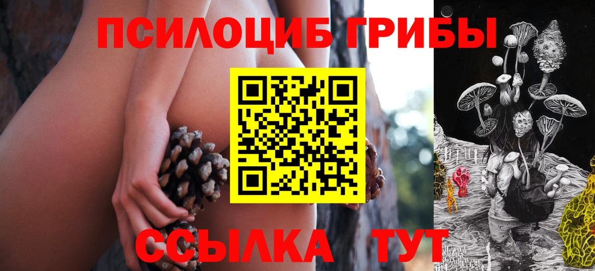 Азнакаево  Псилоцибиновые грибы мухоморы  Вход с VPN 