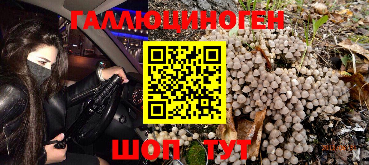 Псилоцибиновые грибы Psilocybe  Псилоцибиновые грибы Psilocybine cubensis  Вход с VPN  Азнакаево 