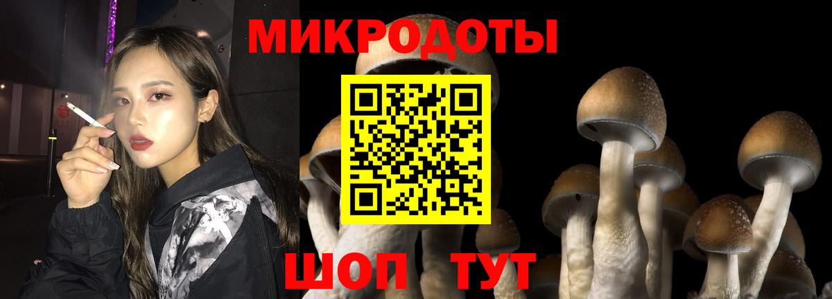 Псилоцибиновые грибы ЛСД  Галлюциногенные грибы GOLDEN TEACHER  Азнакаево 